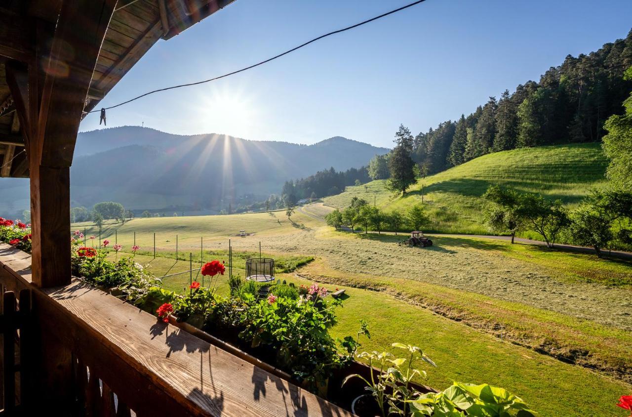 Vila Blumbauernhof Gutach Exteriér fotografie