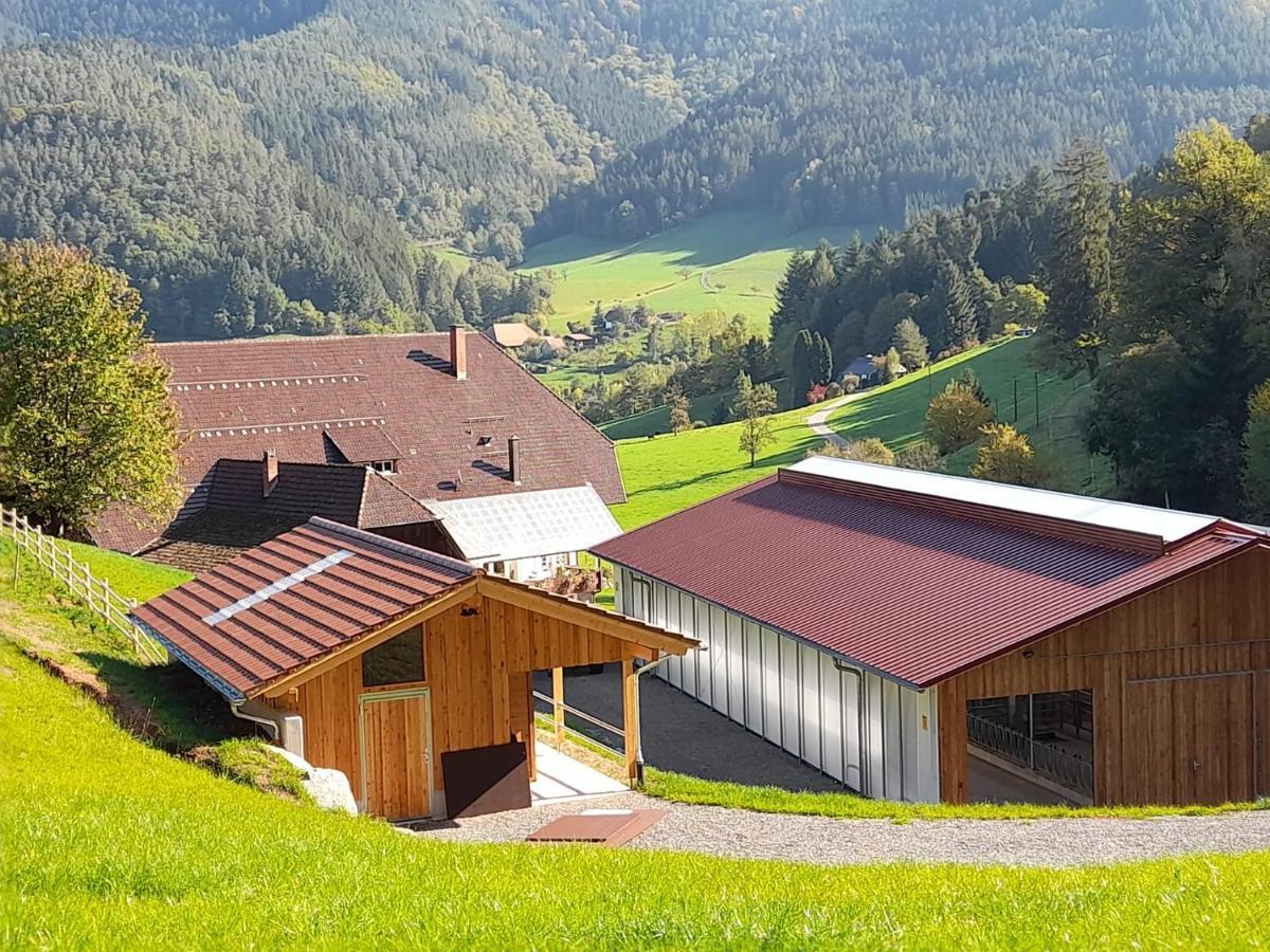 Vila Blumbauernhof Gutach Exteriér fotografie